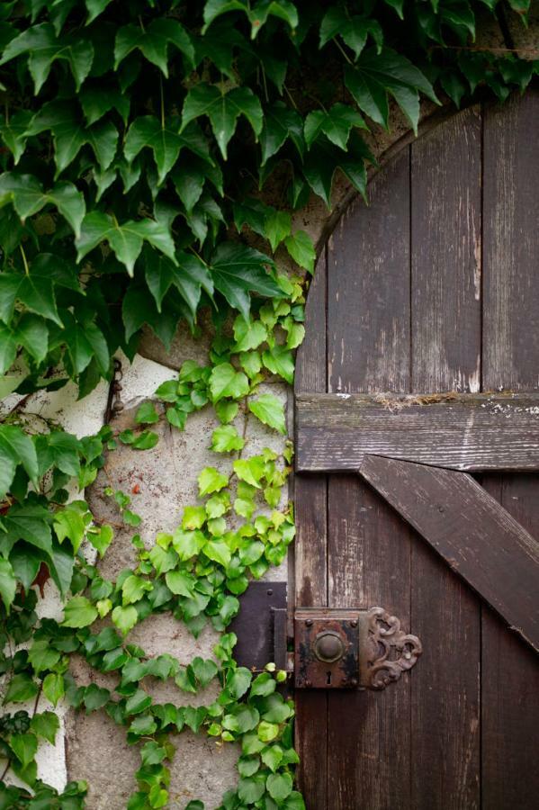 Obere Muehle - Scheunenwohnung Mitten Im Gruenen Baunach Экстерьер фото
